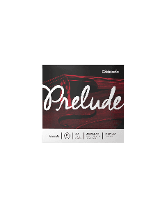 D'Addario J1013 4/4M Cello Single G String, 4/4 Scale,