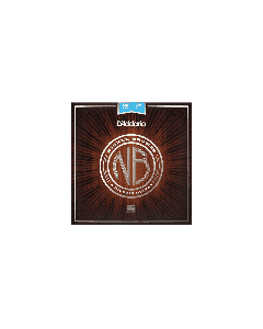 D'Addario NB1047-12 Nickel Bronze Acoustic Strings