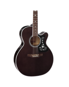 Takamine GB-GN75CE-TBK Semi Acoustic Guitar with Bag – Transparent Black