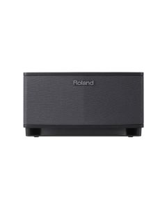 Roland CUBE-LT-BK CUBE Lite Guitar Amplifier