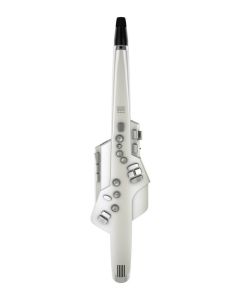 Roland Aerophone AE-10 Electronic Wind Instrument