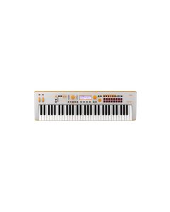 Korg Kross 2 G0 61-key Synthesizer Workstation - Limited Edition Keyboard